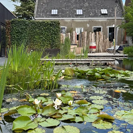 Louwi Bed & Breakfast